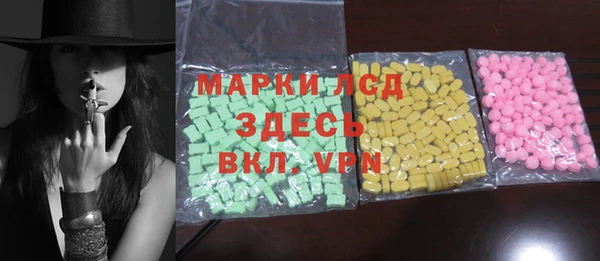 прущие грибы Бронницы