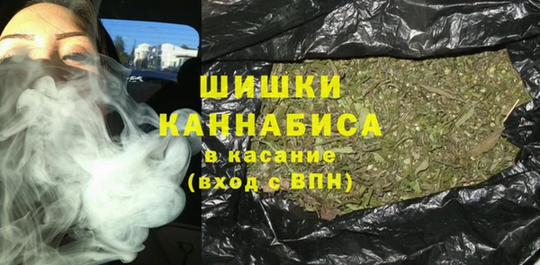 прущие грибы Бронницы