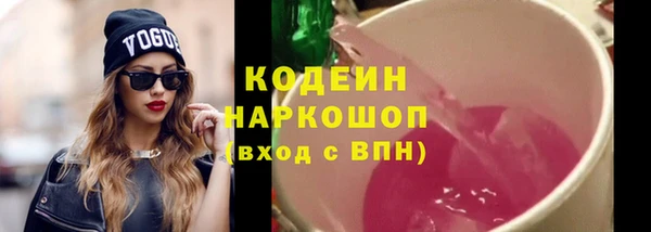 молекула духа Бородино