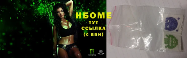 прущие грибы Бронницы