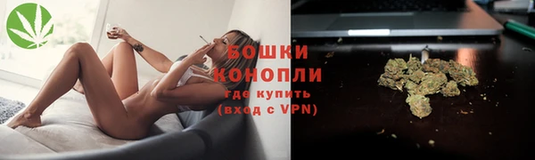 прущие грибы Бронницы