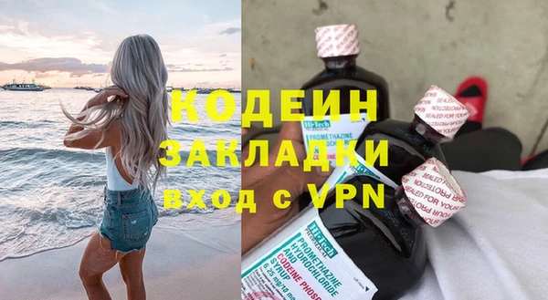 прущие грибы Бронницы