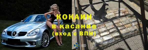 прущие грибы Бронницы