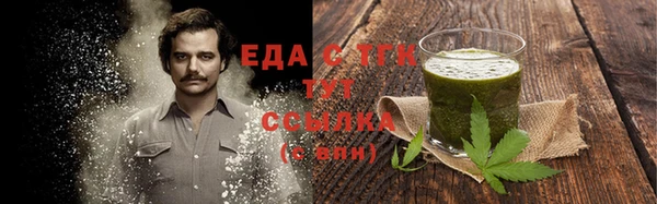 прущие грибы Бронницы