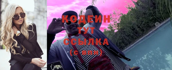 молекула духа Бородино