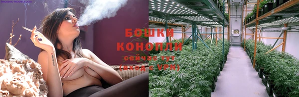 прущие грибы Бронницы