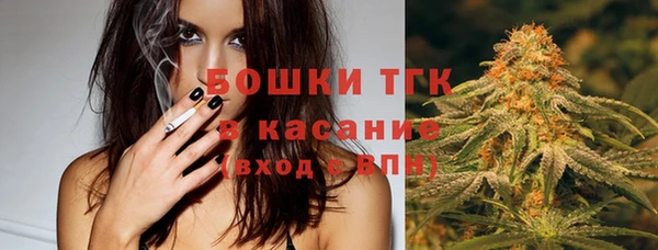 стаф Бугульма