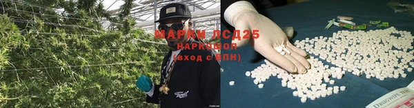прущие грибы Бронницы