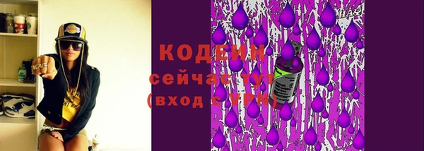 прущие грибы Бронницы
